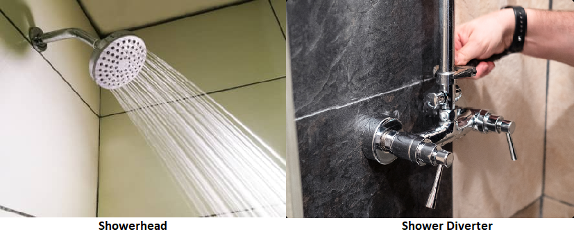 Showerhead & Shower Diverter
